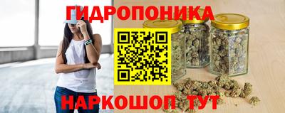 крисы Обнинск